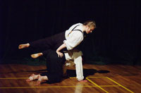 Sprung! 2007